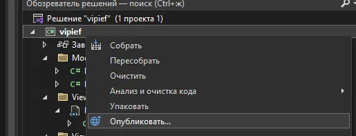 Контекстное меню в обозревателе решений: выделен пункт «Опубликовать…»