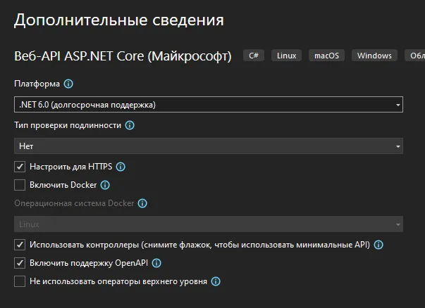 Окно «Дополнительные сведения»: Платформа .NET 6.0, Тип проверки подлинности «Нет», галочки «Настроить для HTTPS», «Использовать контроллеры», «Включить поддержку OpenAPI»