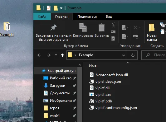 Проводник в папке Example: Newtonsoft.Json.dll, vipief.deps.json, vipief.dll, vipief.exe, vipief.pdb, vipief.runtimeconfig.json